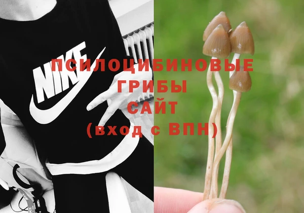 не бодяженный Протвино