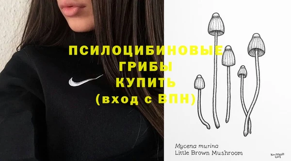 дмт Алексин