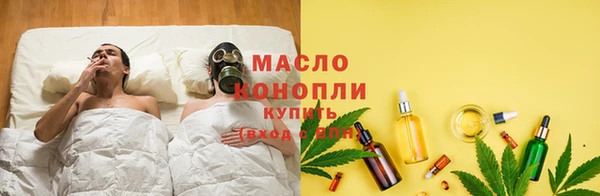 дмт Алексин