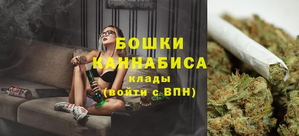 кокс Дмитриев